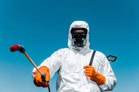 Best Bed Bug Extermination  in Newcastle, WA